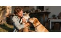 Pet Lifestyle & Fun (0)